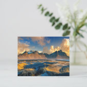 Postal festiva シーズンポストカード (スタンド正面)