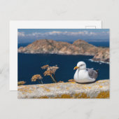 Postal gaviota en las Islas Cíes ポストカード (正面/裏面)