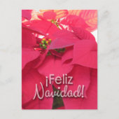 Postal Xmas 001 - Spanish - Postcard ポストカード (正面)