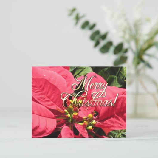 Postal Xmas 002  - Postcard ポストカード (スタンド正面)