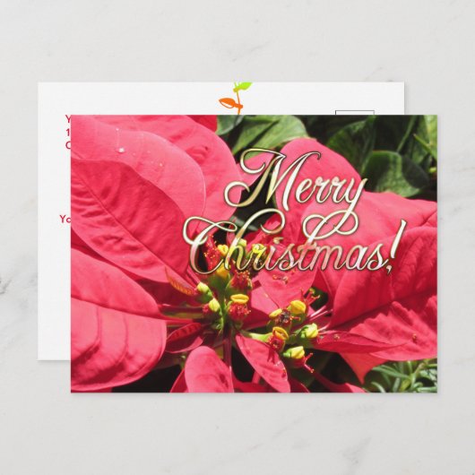 Postal Xmas 002  - Postcard ポストカード (正面/裏面)