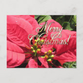 Postal Xmas 002  - Postcard ポストカード (正面)