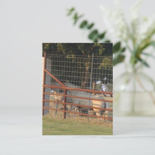 PostCardの範囲内 ポストカード (スタンド正面)