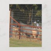 PostCardの範囲内 ポストカード (正面)