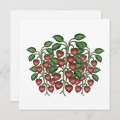 Postcard シーズンカード (正面/裏面)