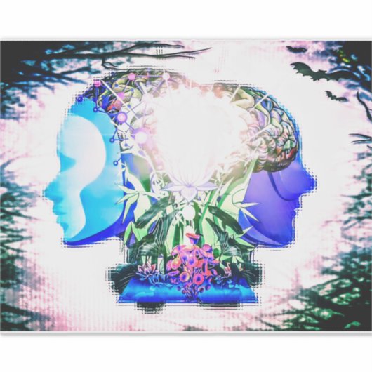 Postcard シール (正面)