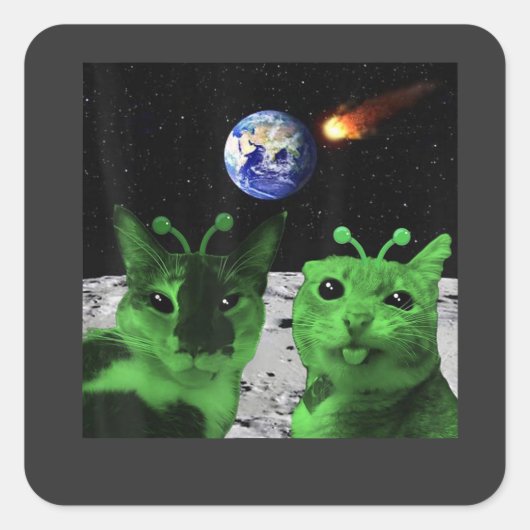 Postcard スクエアシール (正面)