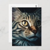 Postcard ポストカード (正面/裏面)