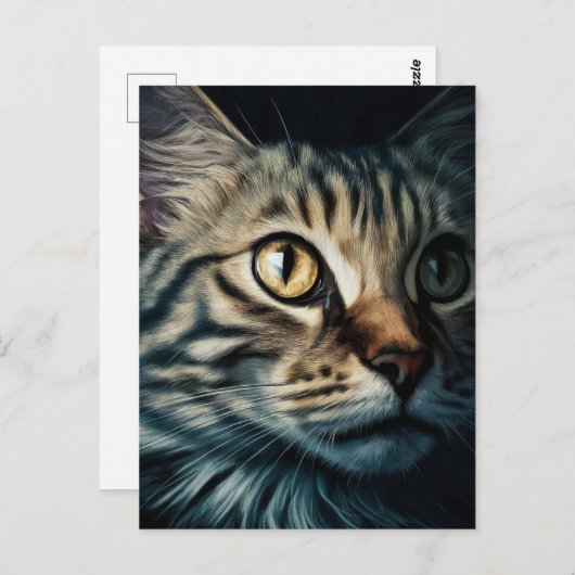 Postcard ポストカード (正面/裏面)