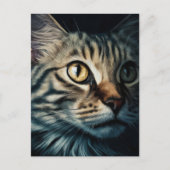 Postcard ポストカード (正面)