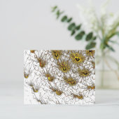 Postcard ポストカード (スタンド正面)