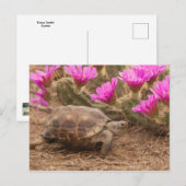 Postcard ポストカード (正面/裏面)