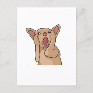 Postcard ポストカード