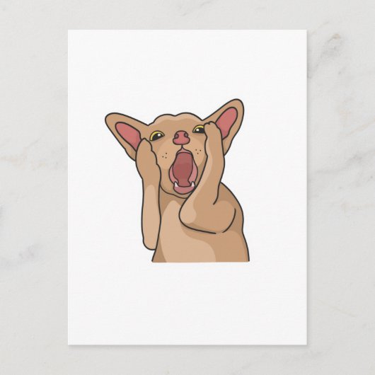 Postcard ポストカード (正面)