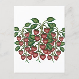 Postcard ポストカード