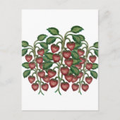 Postcard ポストカード (正面)