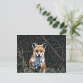 Postcard ポストカード (スタンド正面)