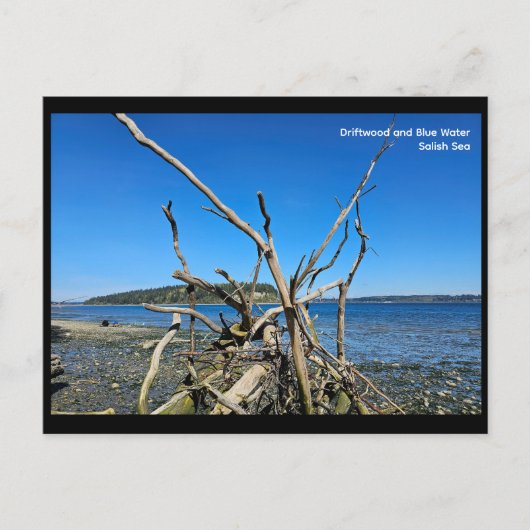 Postcard ポストカード (正面)