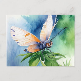 Postcard ポストカード