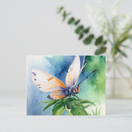 Postcard ポストカード (スタンド正面)