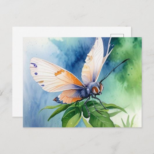 Postcard ポストカード (正面/裏面)