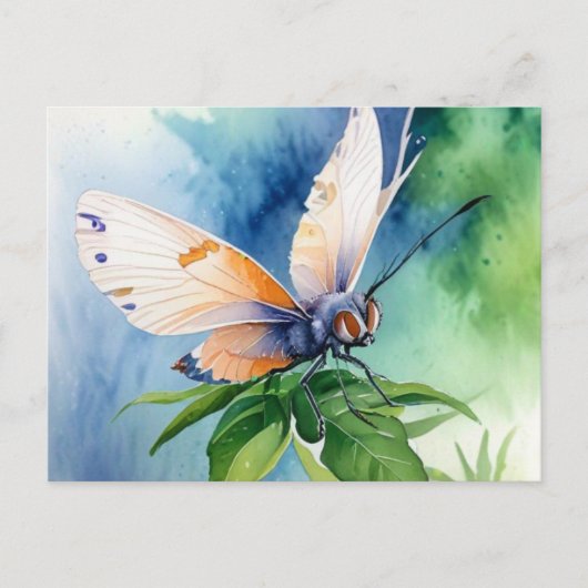 Postcard ポストカード (正面)