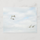 Postcard ポストカード (正面)