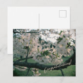 PostCard Congratulations! シーズンポストカード (正面/裏面)