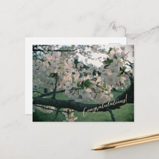 PostCard Congratulations! シーズンポストカード (正面/裏面インサイチュ)