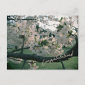 PostCard Congratulations! シーズンポストカード (正面)