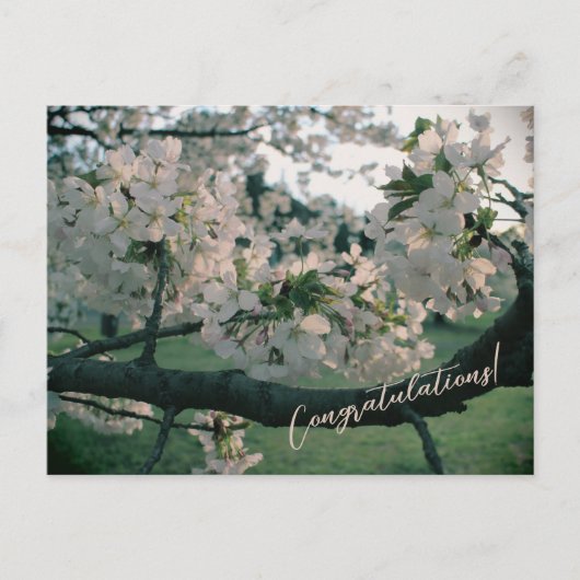 PostCard Congratulations! シーズンポストカード (正面)