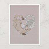 Postcard - Cute Cat ポストカード (正面)