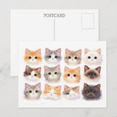 Postcard. Funny kittens ポストカード (正面/裏面)