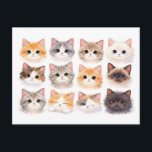 Postcard. Funny kittens ポストカード<br><div class="desc">Unique collectible postcard. Funny kittens.</div>