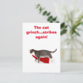 Postcard Humor Katze schleppt Weihnachtsmütze weg ポストカード (スタンド正面)