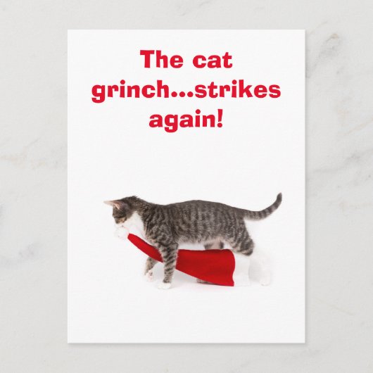 Postcard Humor Katze schleppt Weihnachtsmütze weg ポストカード (正面)