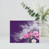 Postcard Postkarte Blumen und Distelsamen ポストカード (スタンド正面)