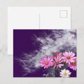 Postcard Postkarte Blumen und Distelsamen ポストカード (正面/裏面)