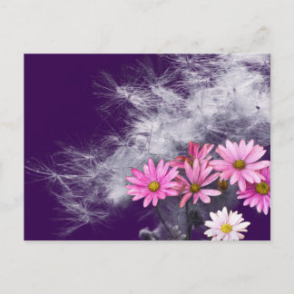 Postcard Postkarte Blumen und Distelsamen ポストカード