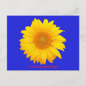 Postcard Postkarte Sonnenblume Liebe Grüße ポストカード (正面)