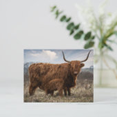 Postcard Schotse Hooglander met kalf ポストカード (スタンド正面)