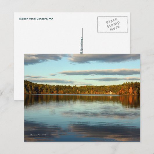 PostCard:Walden Pond ポストカード (正面/裏面)