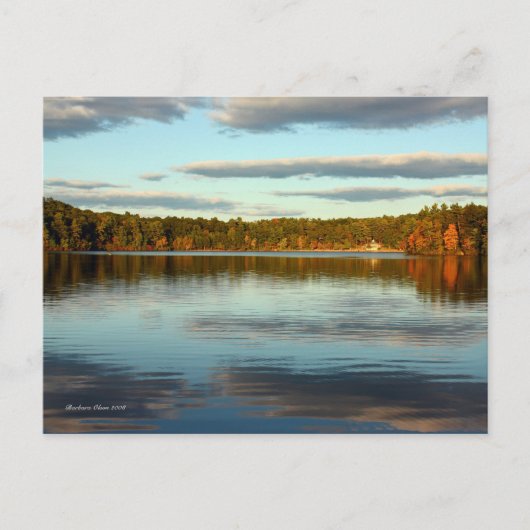 PostCard:Walden Pond ポストカード (正面)