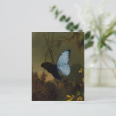Postcard With Martin Johnson Heade Painting ポストカード (スタンド正面)