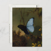 Postcard With Martin Johnson Heade Painting ポストカード (正面/裏面)