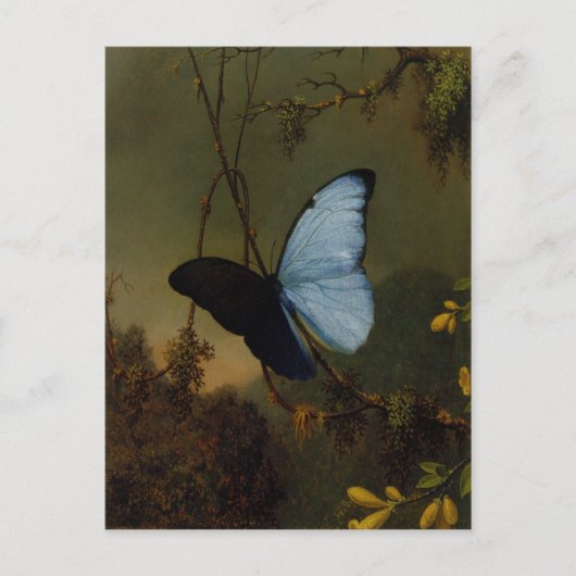 Postcard With Martin Johnson Heade Painting ポストカード (正面)