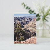 postcardcopyグアノポイント- ポストカード (スタンド正面)