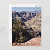 postcardcopyグアノポイント- ポストカード (正面/裏面)