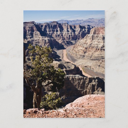 postcardcopyグアノポイント- ポストカード (正面)