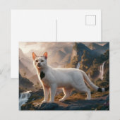 Postcards  Cat  Série 11 06 ポストカード (正面/裏面)